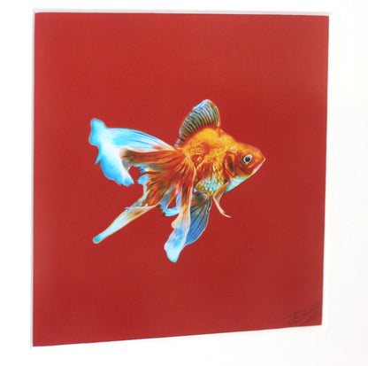 Cadre photo 'Red Goldfish' - 25x25cm