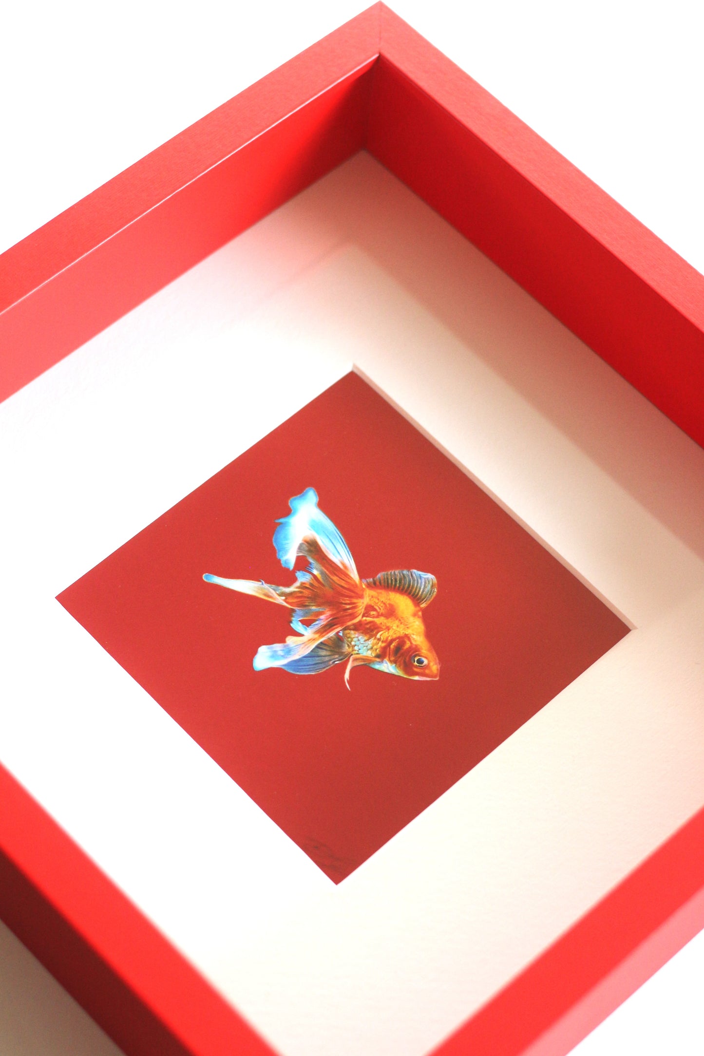 Cadre photo 'Red Goldfish' - 25x25cm
