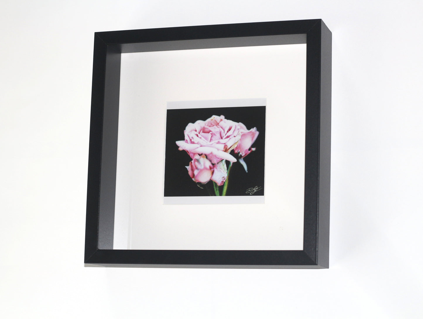 'Pink Rose' - 25x25cm