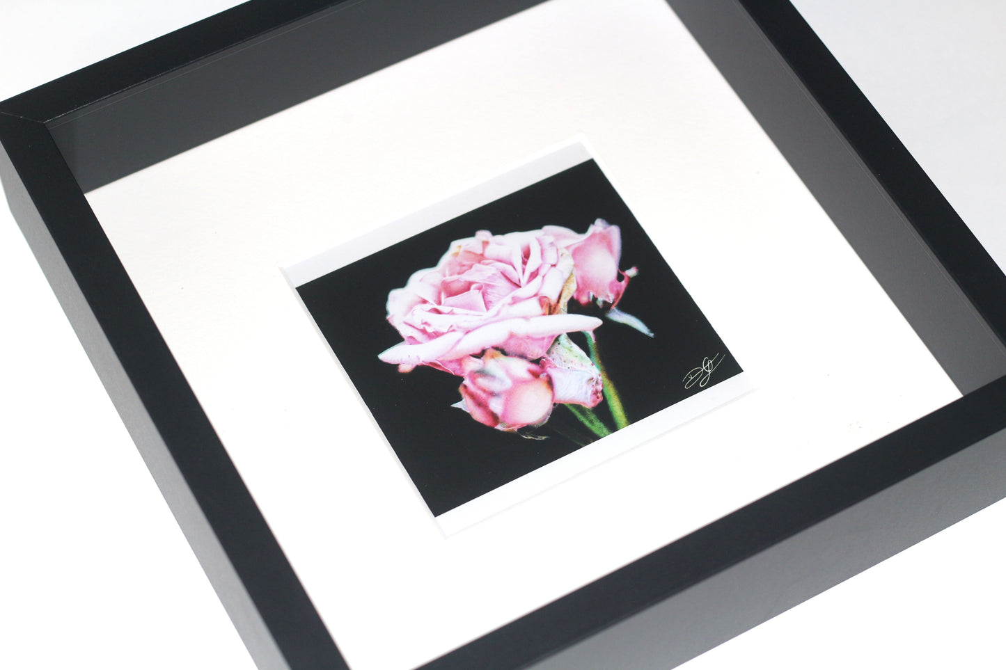 'Pink Rose' - 25x25cm