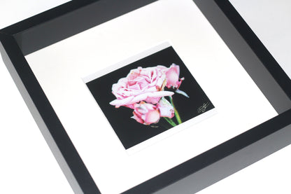 'Pink Rose' - 25x25cm